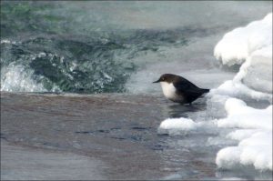 kazpulse-1768389688-KdkrCscq