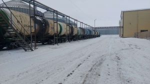 kazpulse-1768451266-k9N26yDx