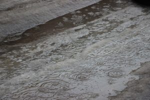 kazpulse-1768451386-pDt2iz04