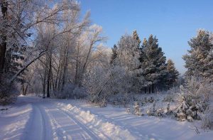 kazpulse-1768451450-3QpbZdhc