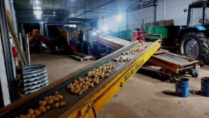 kazpulse-1768449530-mOCpXQsj