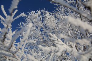 kazpulse-1768449649-OQmAkCiZ