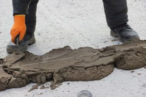 kazpulse-1768449922-jKHUA26e