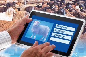 kazpulse-1768449963-yum3jyL8