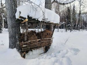 kazpulse-1768450017-cAvPQfwa