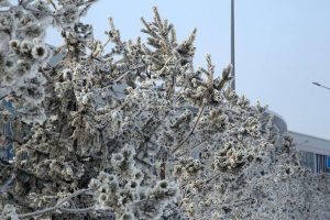 kazpulse-1768450084-2C6tUrOW