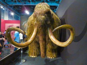 kazpulse-1768450143-zod3vsDV