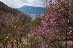 kazpulse-1768450244-FekAKlBA