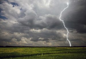 kazpulse-1768450292-ykURZquP