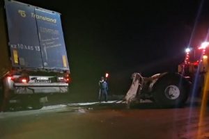 kazpulse-1768450470-uhGtcWfc