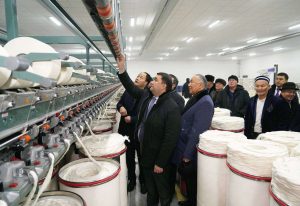 kazpulse-1768450585-8D6a28tF