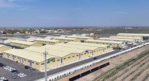 kazpulse-1768450669-dipgPg1b