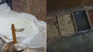 kazpulse-1768450694-01WWCZUA