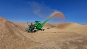 kazpulse-1768450818-twrJpyvA