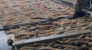 kazpulse-1768451033-GGL9dMrJ