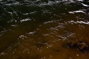 kazpulse-1768521760-FUzVs36n