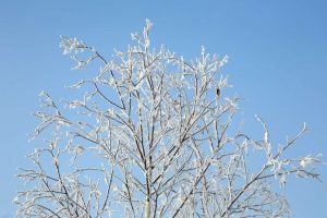 kazpulse-1768608176-95i5TT6J