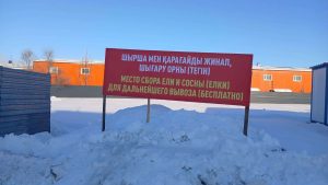 kazpulse-1768867283-hDB8tJ2t