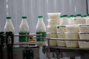 kazpulse-1769126485-qGh3LCFP