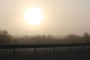 kazpulse-1769212918-2JWiNQ9Y