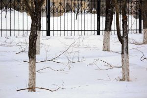 kazpulse-1769213019-W0FUFhup