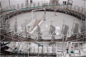 kazpulse-1769472251-DKaYWnNi