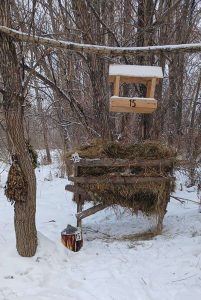 kazpulse-1769472336-h2cqY8HU