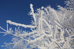 kazpulse-1769558530-u8CFjR3S