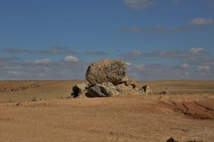 kazpulse-1769558578-eWzTa8PS