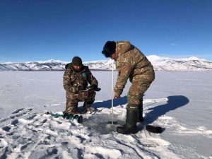 kazpulse-1769644876-etTaDHnP