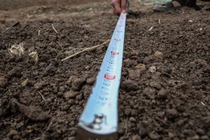 kazpulse-1769644893-onDGqZVR