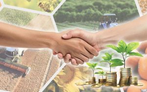 kazpulse-1769731563-UTDqcTy0