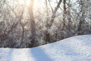 kazpulse-1769817939-kRD3efjH