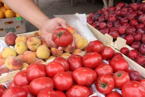 kazpulse-1769904101-CwePEpmL