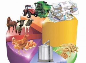 kazpulse-1770163283-d1vSGnpP