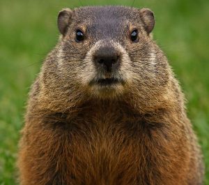 kazpulse-1770163413-8rVkS1B3