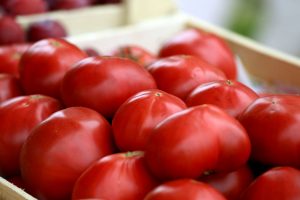 kazpulse-1770249791-hCc3BxS9