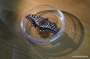 kazpulse-1770249811-awHZI9Km