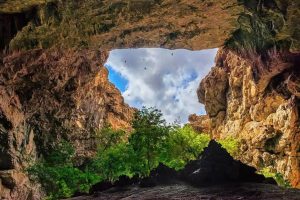 kazpulse-1770249837-Cnox4bq7