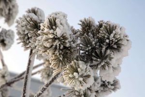 kazpulse-1770624070-X29037fP