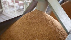 kazpulse-1770941068-mu3KfwjM