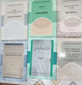 kazpulse-1771545677-u3yB3a0S