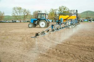 kazpulse-1771632092-1OuXTVPR