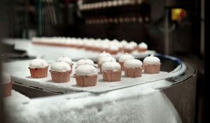 kazpulse-1771632270-921TYA1b