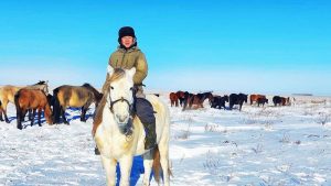 kazpulse-1771998837-20AiWARa