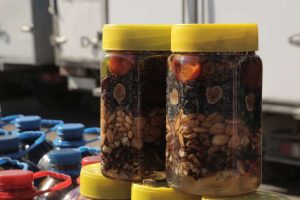 kazpulse-1772064087-Z93DGKI3