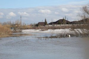 kazpulse-1772064288-IjTFchmg