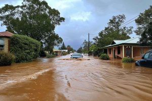 kazpulse-1772064301-EgGPsYZB