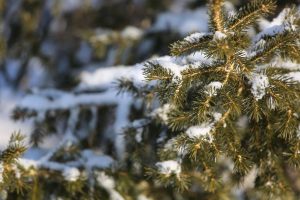 kazpulse-1772064496-WjYY4P6z