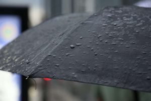 kazpulse-1772064504-PkfDxFWa